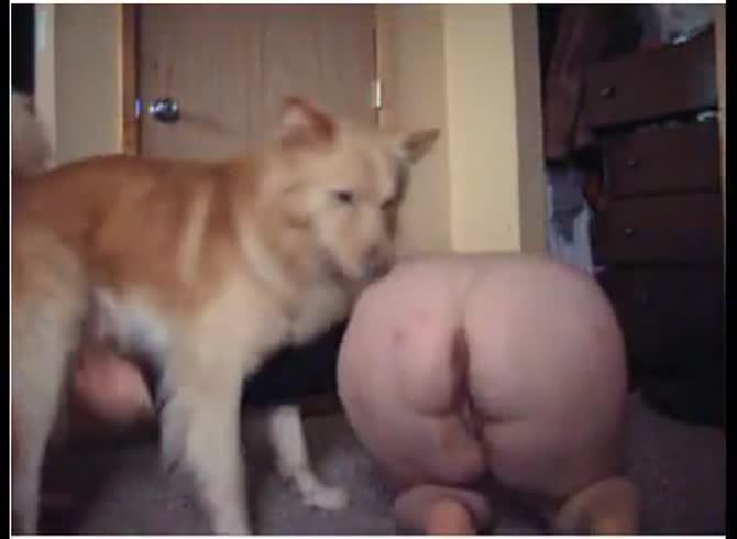 Video :Big ass amateur beastiality lover got banged by dog